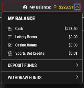 Screenshot showing the location of PROLINE+ account balances