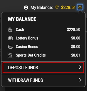 My Balance menu in PROLINE+