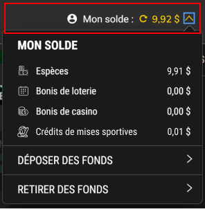 PROLINE+ menu showing a person's account balance