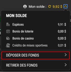 Screenshot showing Deposit Funds option on PROLINE+