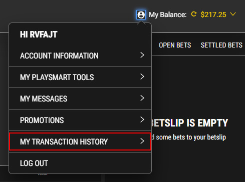 Screenshot showing how to access transaction history on PROLINE+