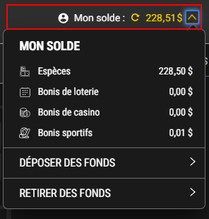 Screenshot showing Cash and Bonus Funds balance on PROLINE+