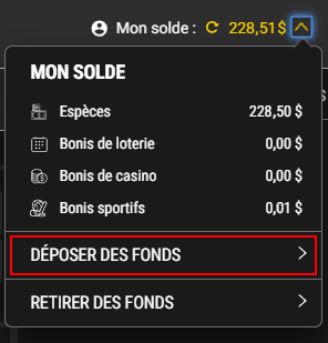 Screenshot showing Deposit Funds option on PROLINE+